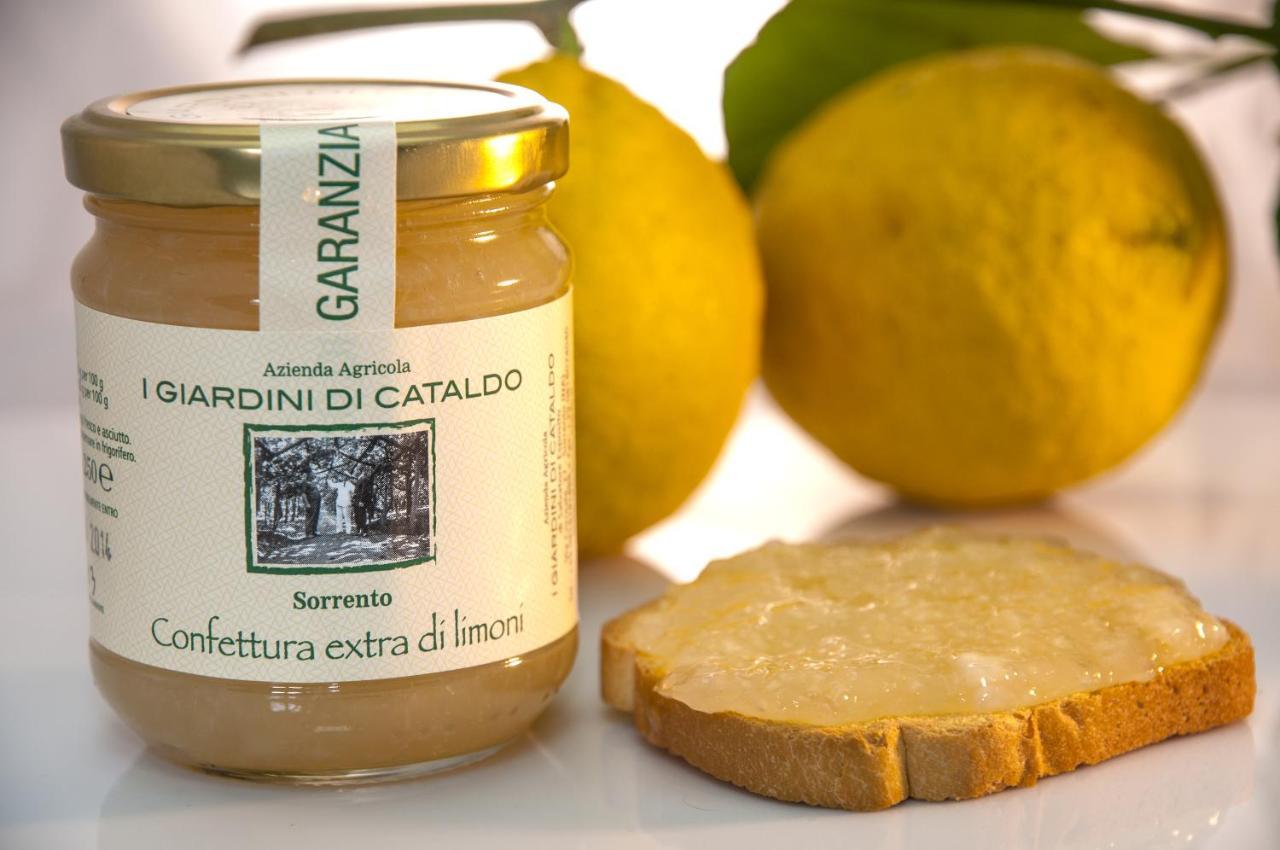 I Giardini Di Cataldo Sorrento别墅 外观 照片