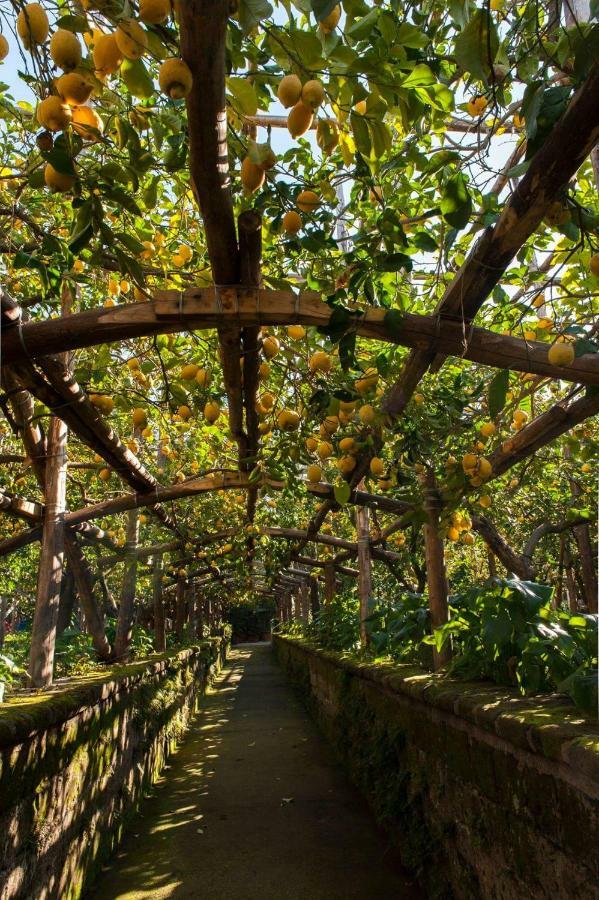 I Giardini Di Cataldo Sorrento别墅 外观 照片